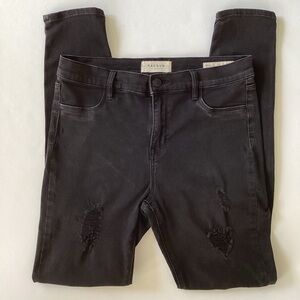 PacSun High Rise Black Distressed Jegging Size 28